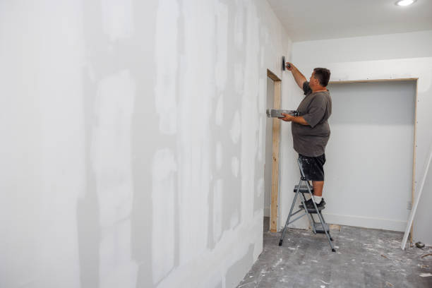 Best Mold Damage Restoration  in Mena, AR