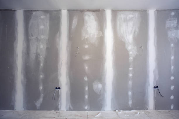 Best Mold Odor Removal Services  in Mena, AR